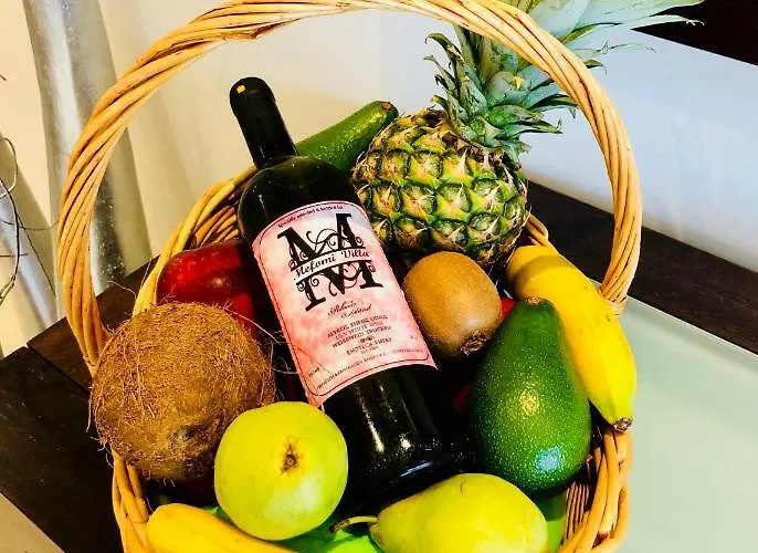 ヴィラ Mefomi Pastida